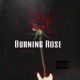 Burnning Rose Single