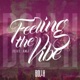 Feeling the Vibe feat Amj Single