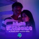 Dama e o Vagabundo Single