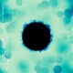 Follow the Sun feat Diane Charlemagne Single