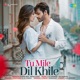 Tu Mile Dil Khile Single