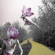 Run With You EP