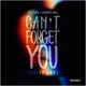 Can t Forget You Salsa Rmx Single