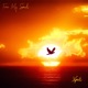 Free My Soul Single