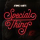 Special Thing Acoustic Version Single