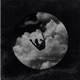 Falling Single