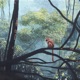 Astavakra Single