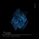 Pulse feat N E T W O R K Single