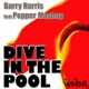 Dive In the Pool 2008 feat Pepper Mashay Single