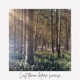 Last Dream Before Sunrise Single