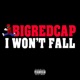 I Won t Fall Single