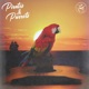Pirates Parrots feat Mac McAnally Single