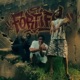 Fortify Single