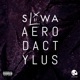 Aerodactylus Single