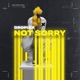Not Sorry Live Edit Single