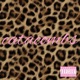 catacombs Single