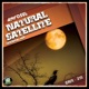 Natural Satellite Single
