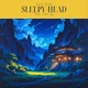 sleepy head feat Lisa Jay Single