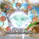 Ultrasonic feat Logan Adams Vocal Version Single