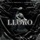 Lloro feat White Wolf Anthony Ducapo Single