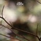 One web of life EP
