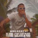 Amor Gostosinho Single