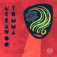 Nerawoo Tumma feat Stevo Atambire Single
