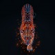 The Instinct Single