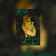 Golden Heart Single