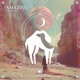 Amazing Single
