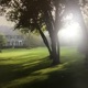 Cooler in the Shade feat Diane Charlemagne Single