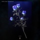 Shutter Radio edit Single