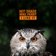 I Like it Single