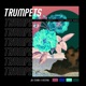 Trumpets Sandy Groove Remix feat Kestra Single
