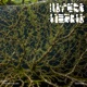 Drumshed Single