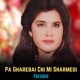 Pa Gharebai Chi Mi Sharmegi Single