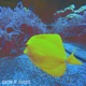 Drum N Shine Single