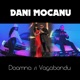 Doamna si Vagabondu Single