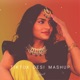 TikTok Desi Mashup feat 2NV Single