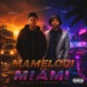 Mamelodi To Miami Instrumental Single