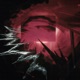 Umbra Single