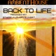 Back to Life Static Autumn Sunset Remix Single