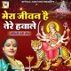 Mera Jeewan Hai Tere Hawale Single