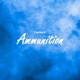 Ammunition Single