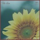 The Sun Single