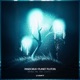Bring Me the Lights Single