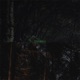 Dreamless Single