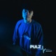 Pulz Single