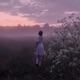 Nostalgia Single