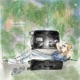 Daydream Single